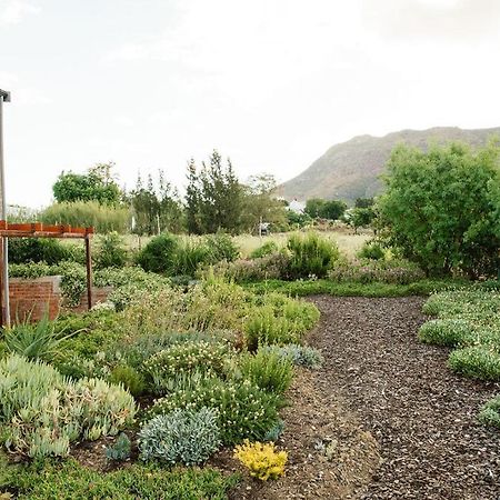 ריבק-קסטיל Vineyard Views Country House מראה חיצוני תמונה