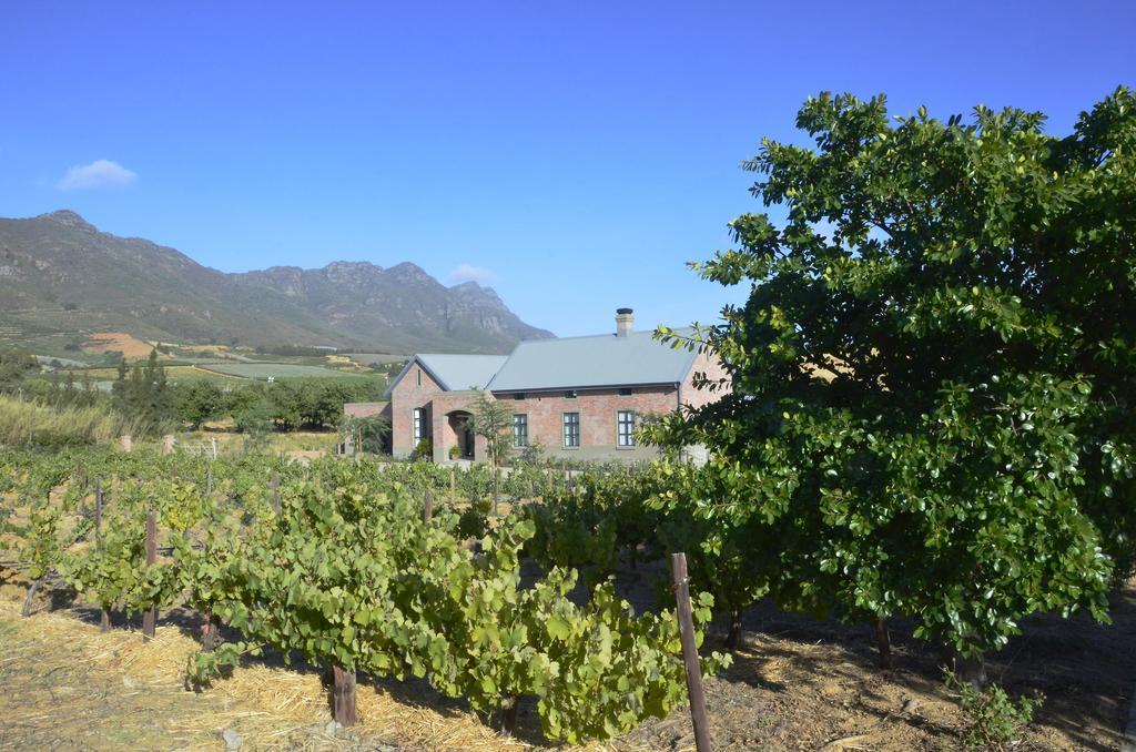 ריבק-קסטיל Vineyard Views Country House מראה חיצוני תמונה