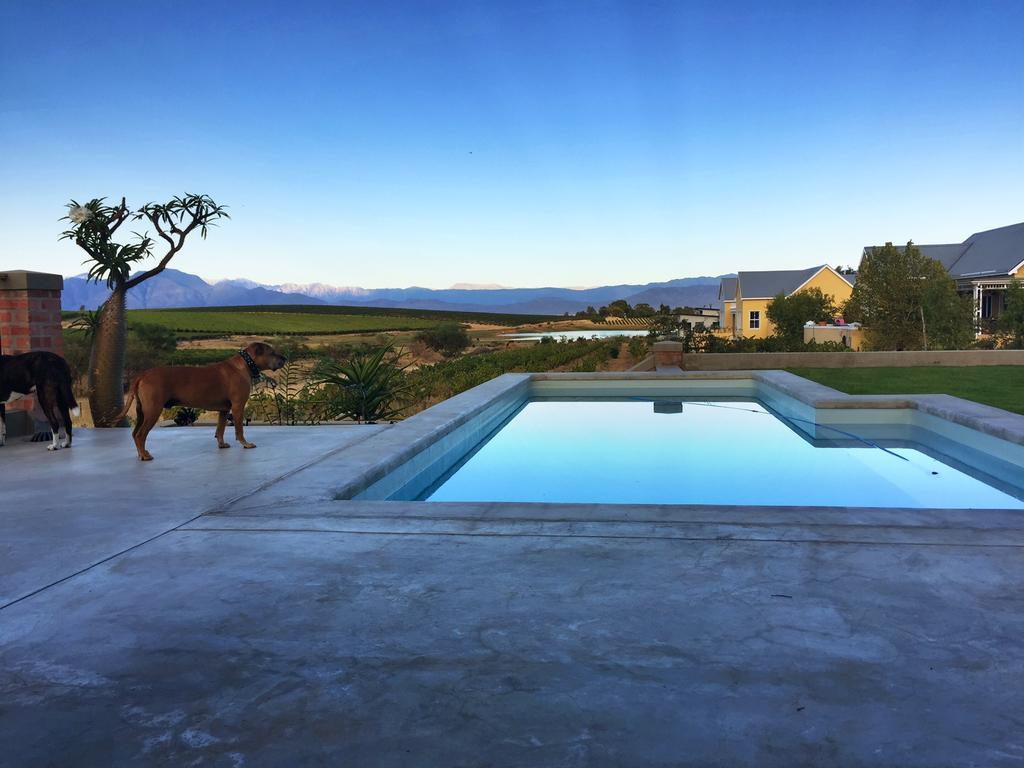 ריבק-קסטיל Vineyard Views Country House מראה חיצוני תמונה
