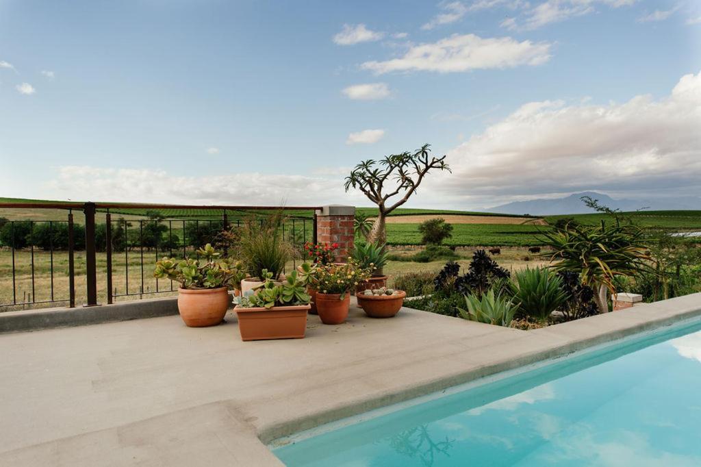 ריבק-קסטיל Vineyard Views Country House מראה חיצוני תמונה